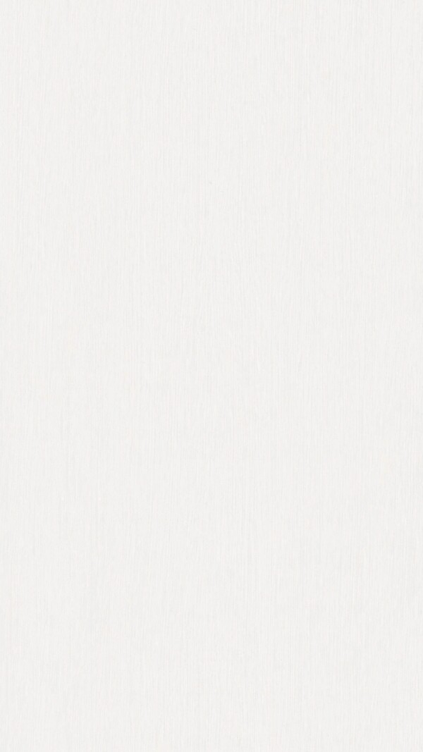 LAMBRIS Bocado DP 250 Fineline blanc 4029 L=3300 l=250 e=12 (3 Pces par paquet)