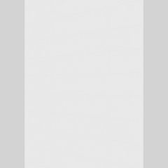Lambris décor MeisterPanels. terra DP 250 -White pearl 20097 -2600x250x12 (/4 pces)