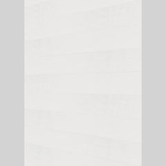 Lambris décor MeisterPanels. terra DP 250 -White ash 20098 -2600x250x12 (/4 pces)