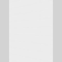 Lambris décor MeisterPanels. terra DP 250 -Polar white 20096 -3300x250x12 (/3 pces)